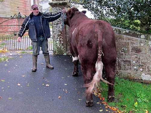 Shawhill Edward, rear view !